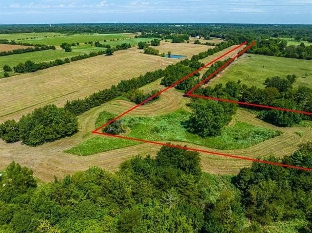 12.4 acres in Lamar County gallery image 4