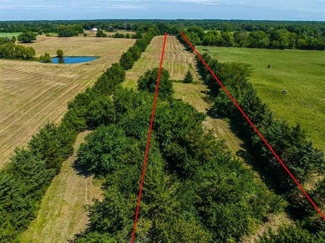 12.4 acres in Lamar County - photo 7