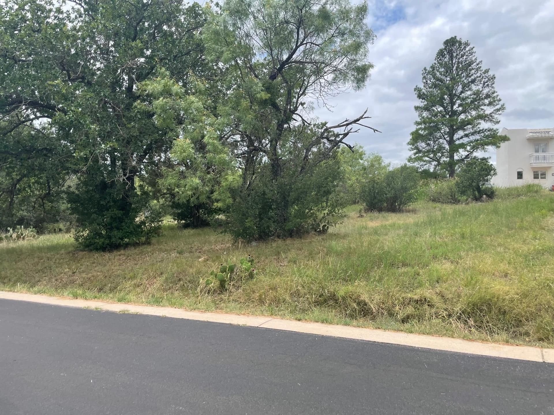 0 acres in Llano County gallery image 3