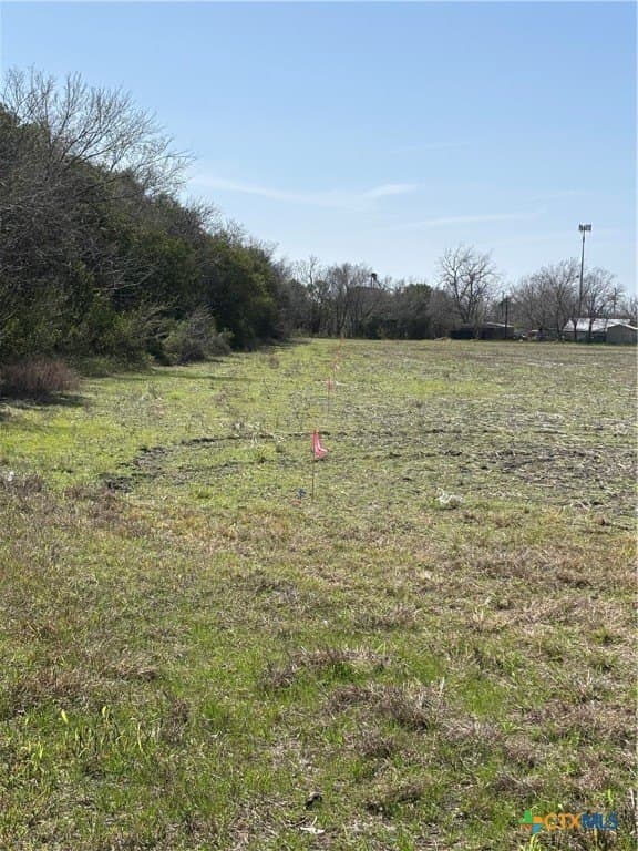 10.99 acres in Guadalupe County gallery image 3