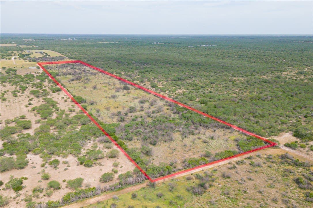20 acres in Jim Wells County gallery image 3
