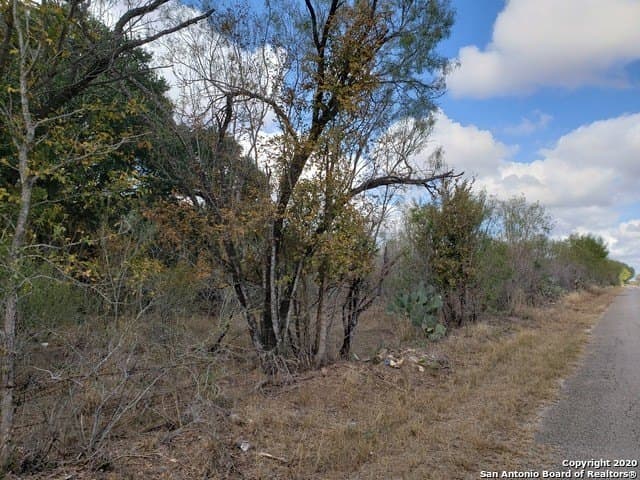 20 acres in Medina County gallery image 3