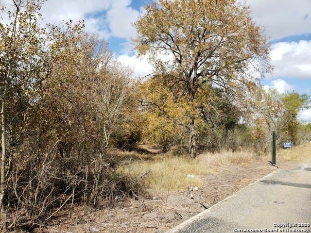 20 acres in Medina County gallery image 2