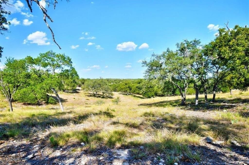 5.3 acres in Gillespie County gallery image 2