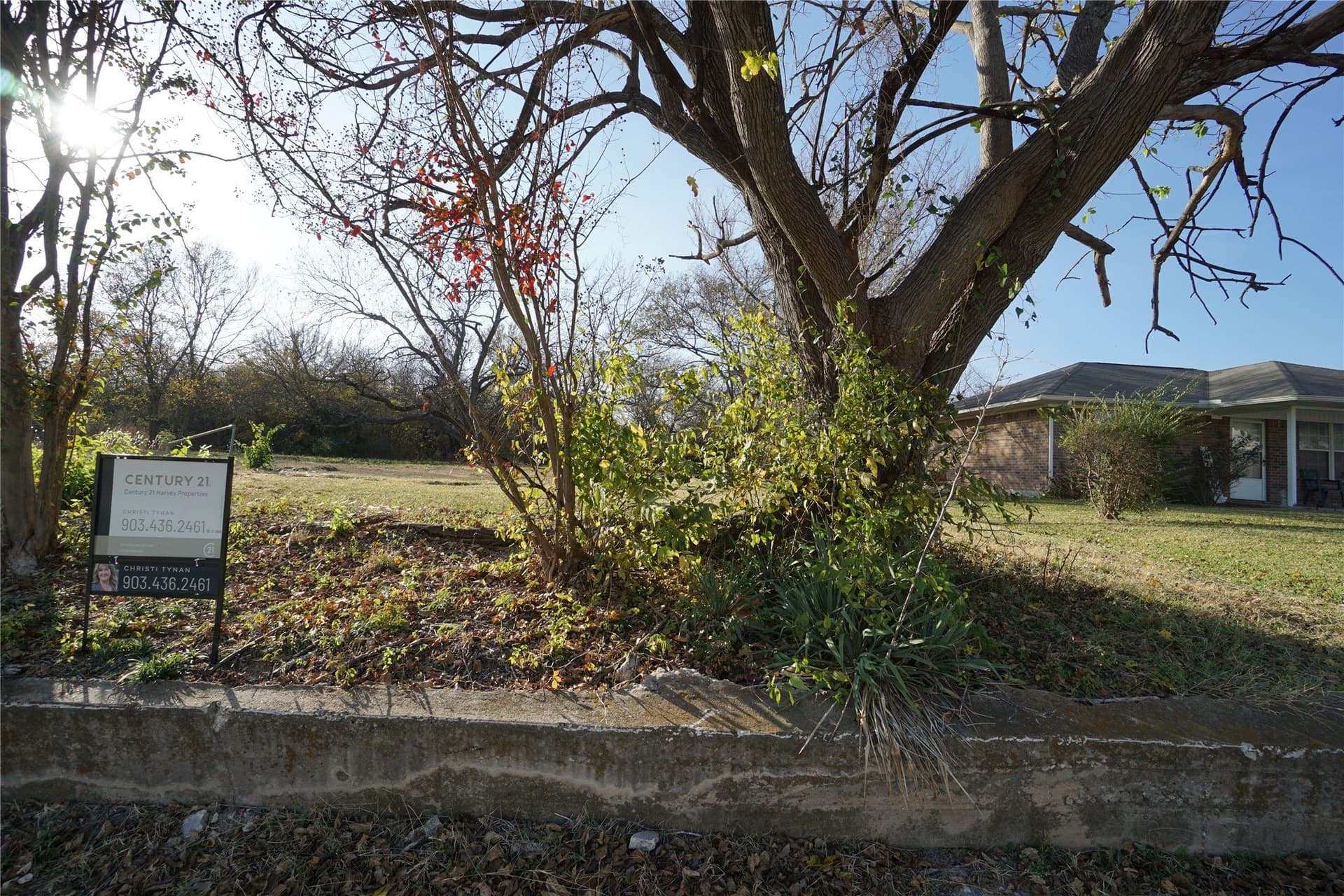 0.23 acres in Fannin County - photo 8