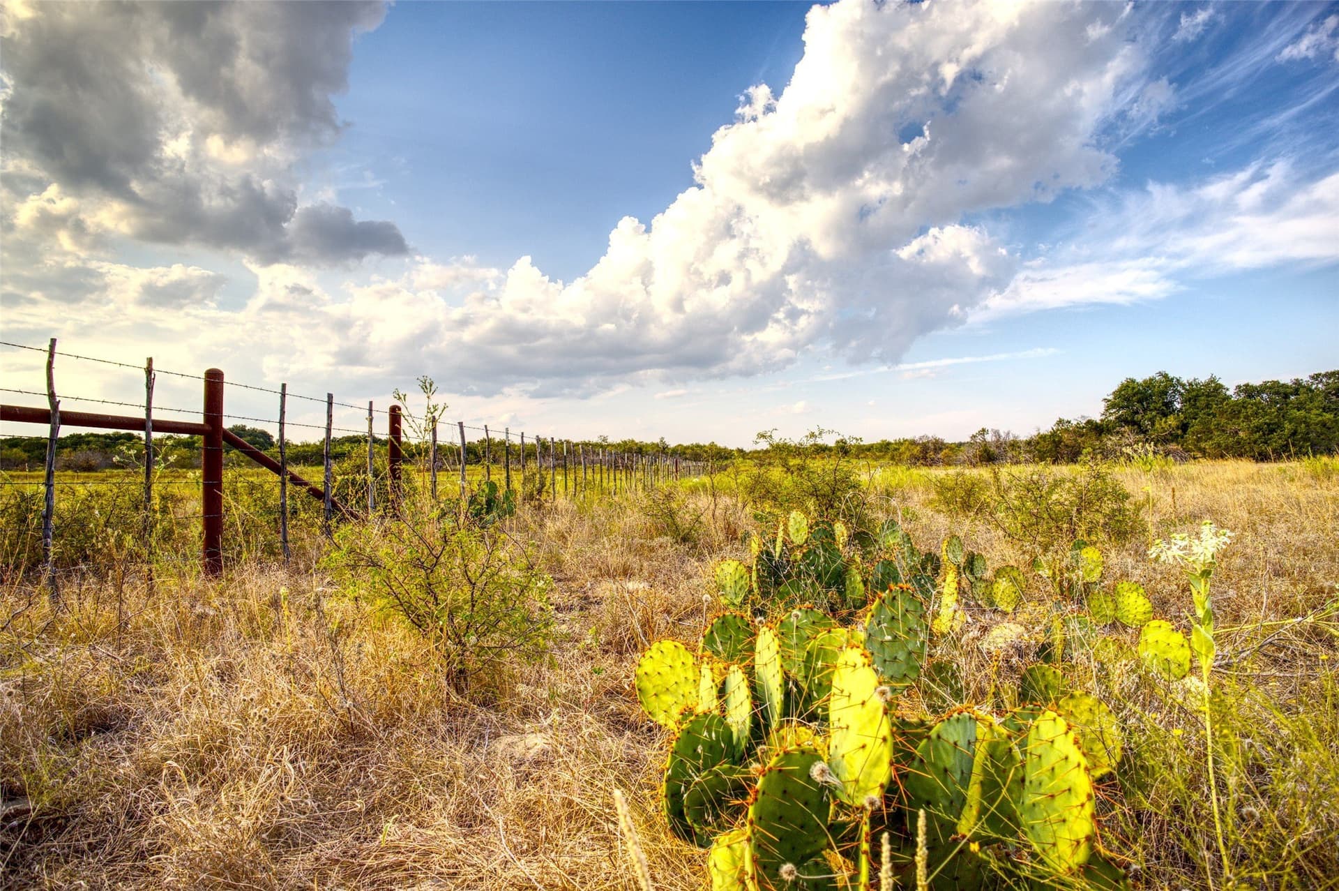 397 acres in Palo Pinto County - photo 22