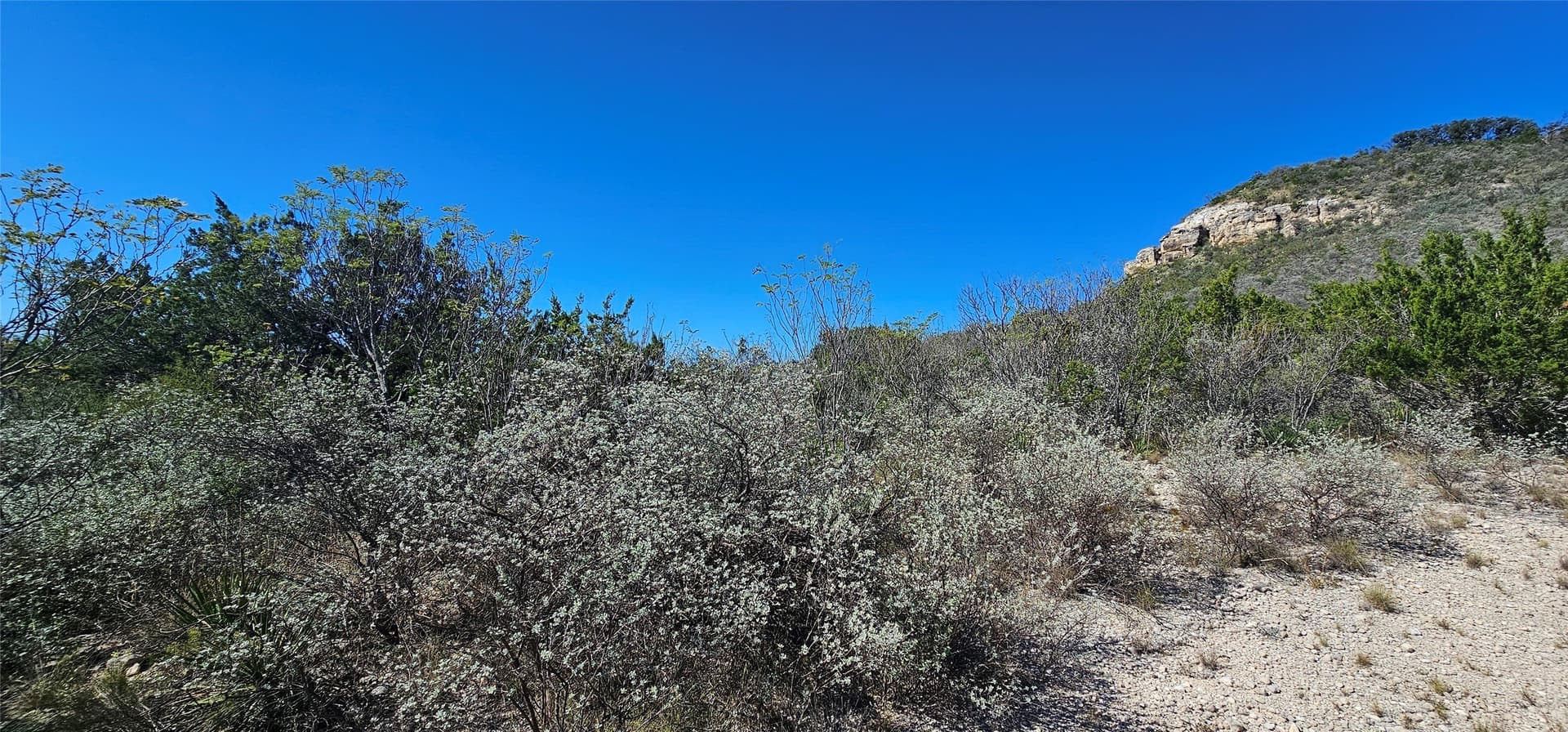 4.05 acres in Kimble County - photo 23