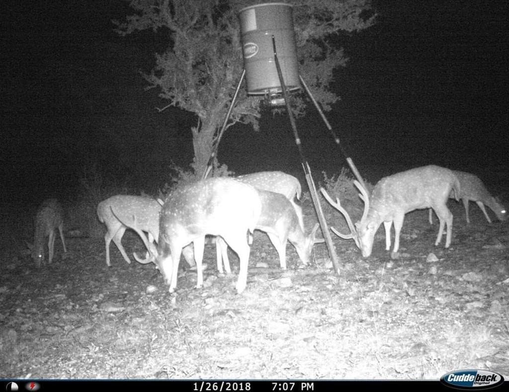 20 acres in Kerr County - photo 24