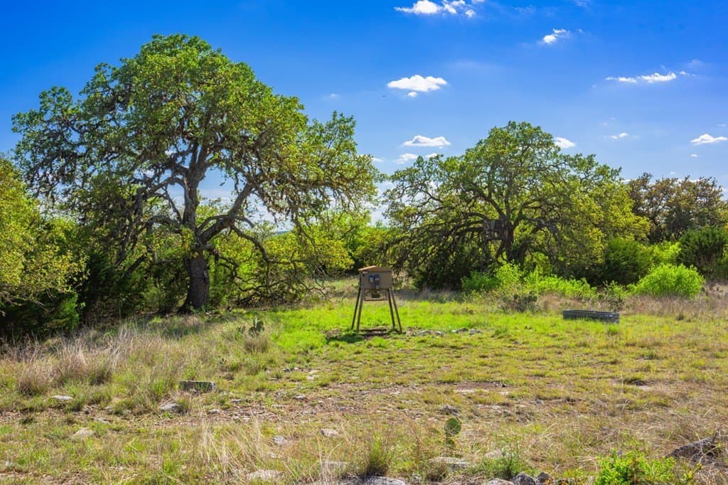 20 acres in Kerr County - photo 32