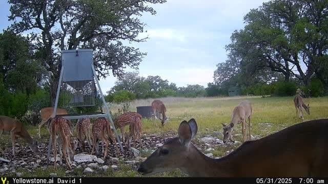 20 acres in Kerr County - photo 26