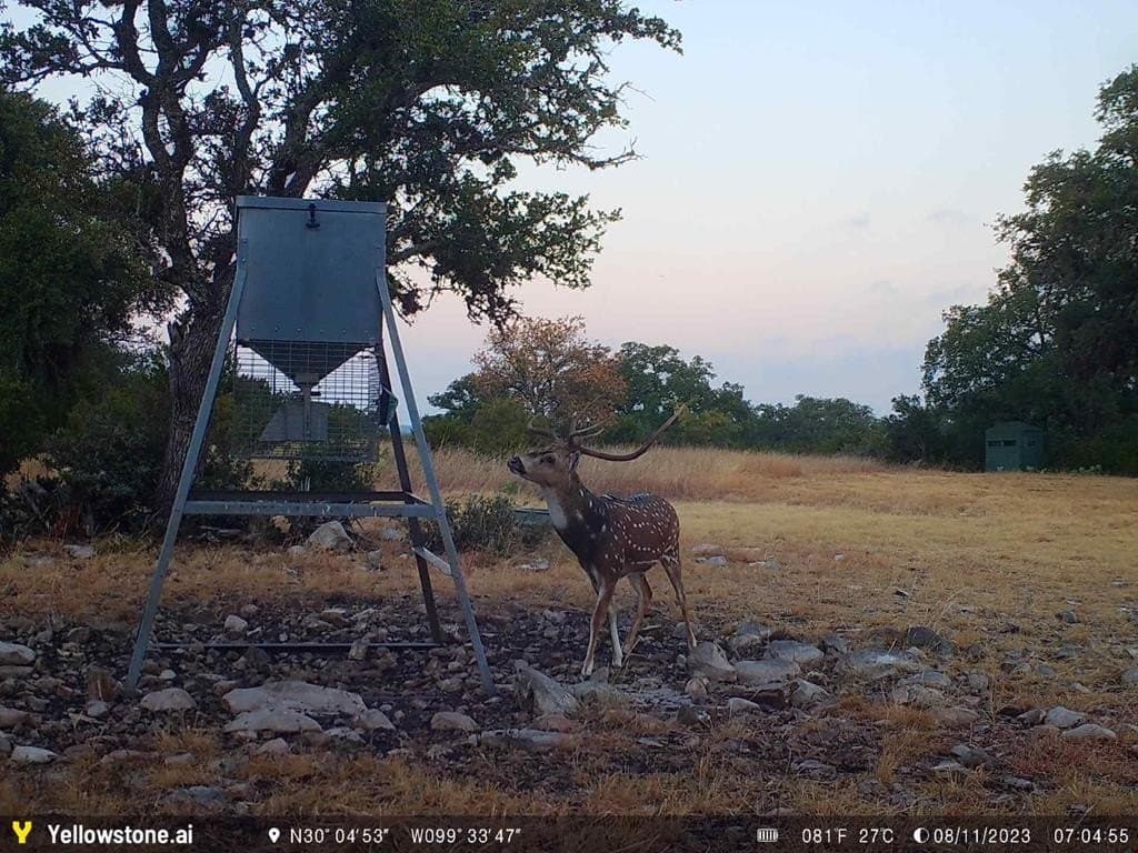 20 acres in Kerr County - photo 25