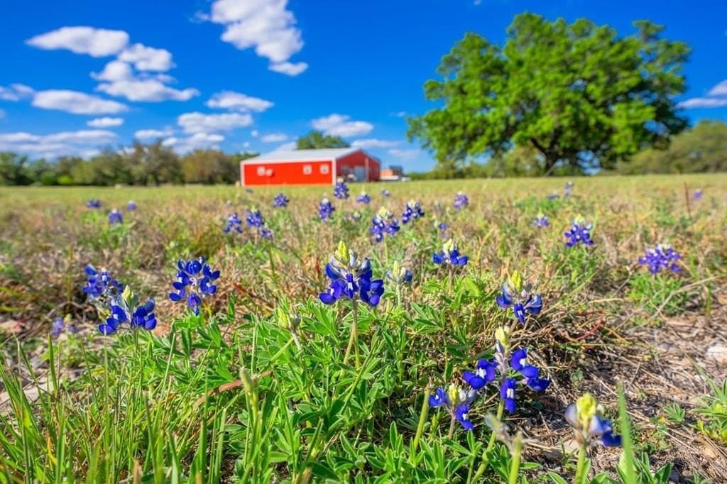 20 acres in Kerr County - photo 3
