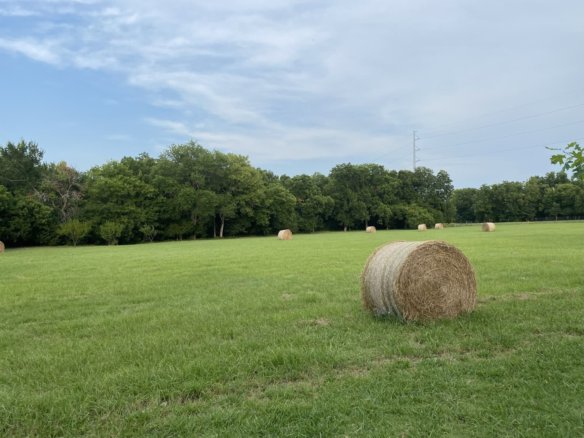 4.44 acres in Collin County - photo 38