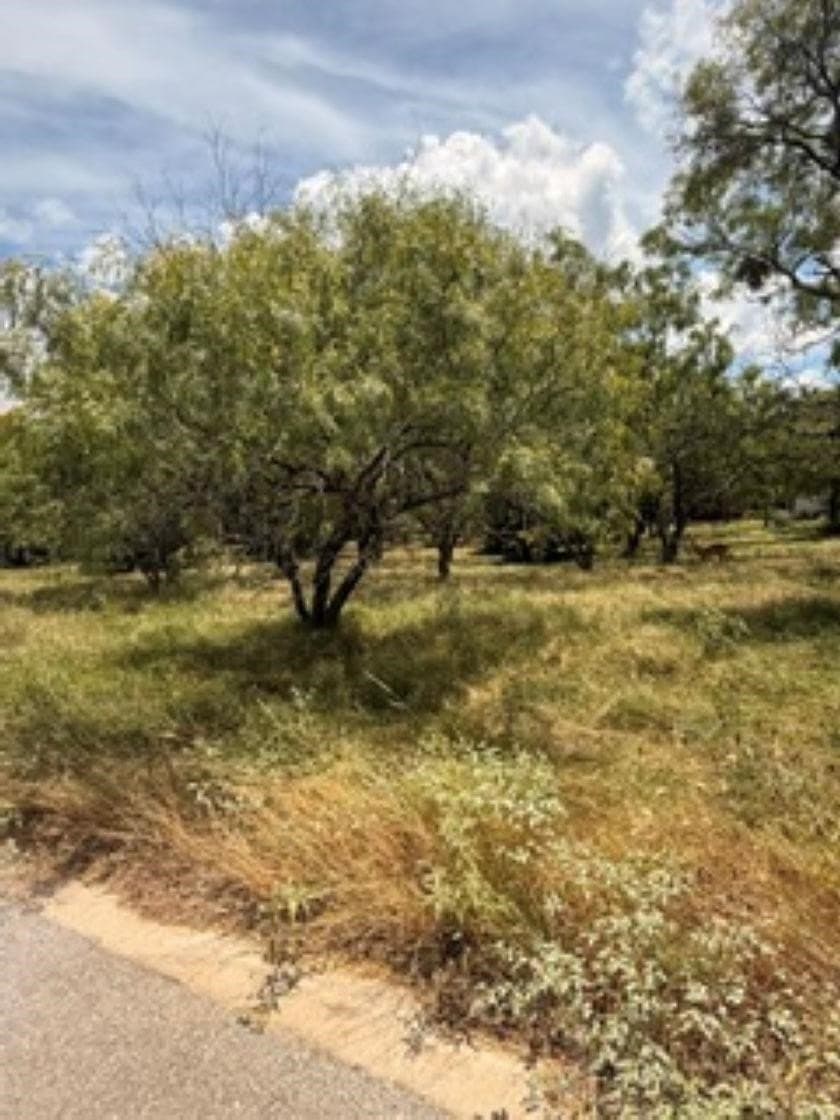 0.19 acres in Llano County - photo 2