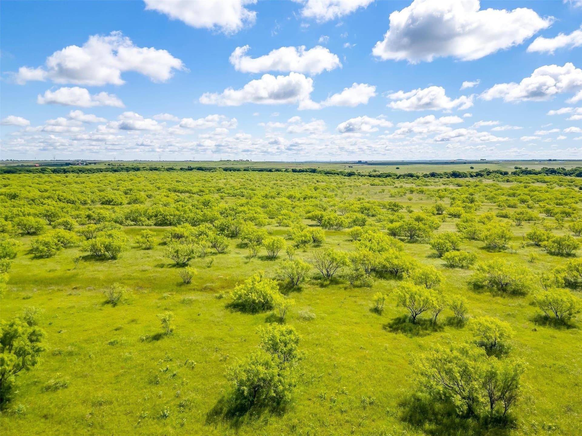 475.8 acres in Clay County - photo 8