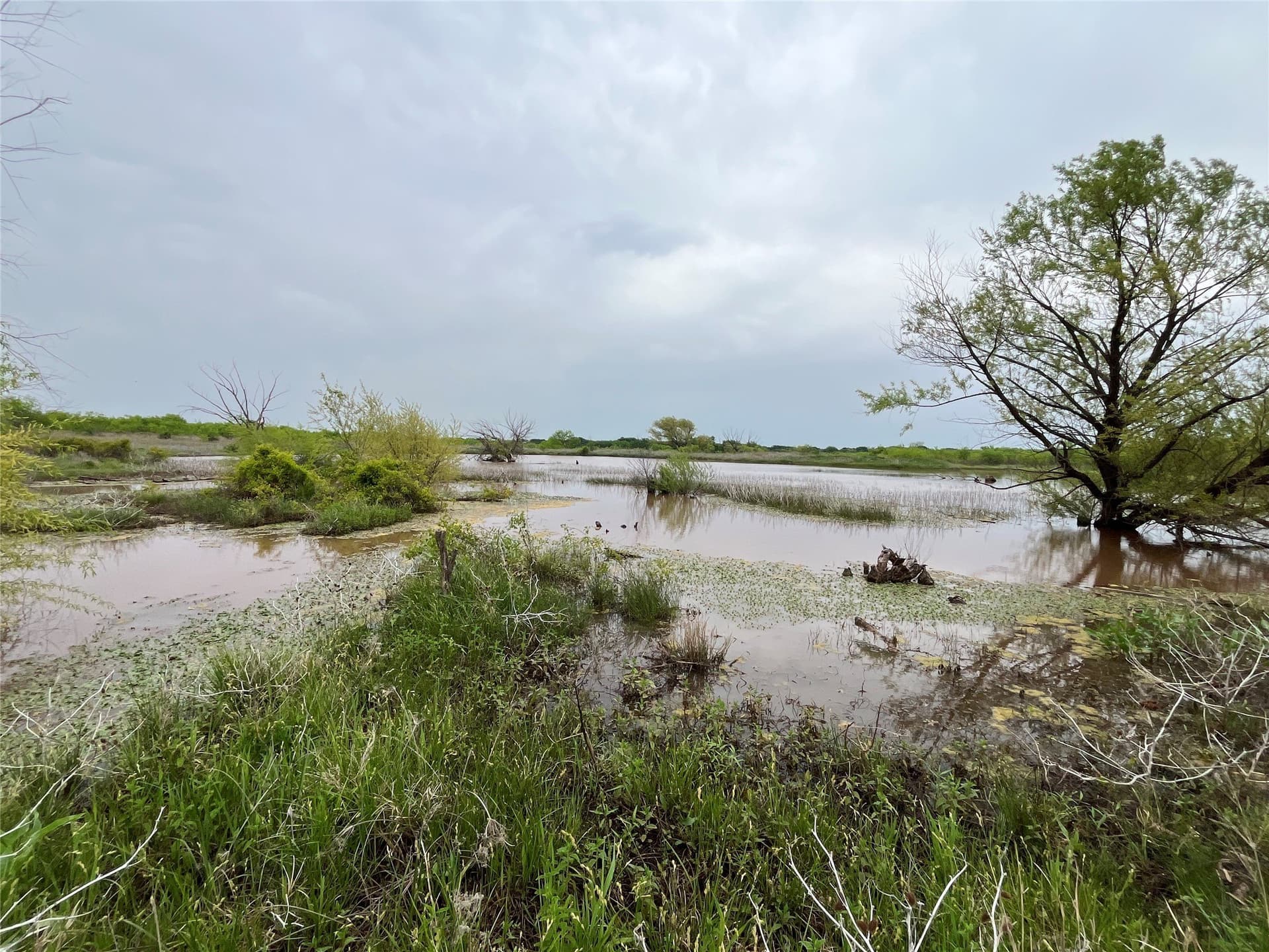 475.8 acres in Clay County - photo 30