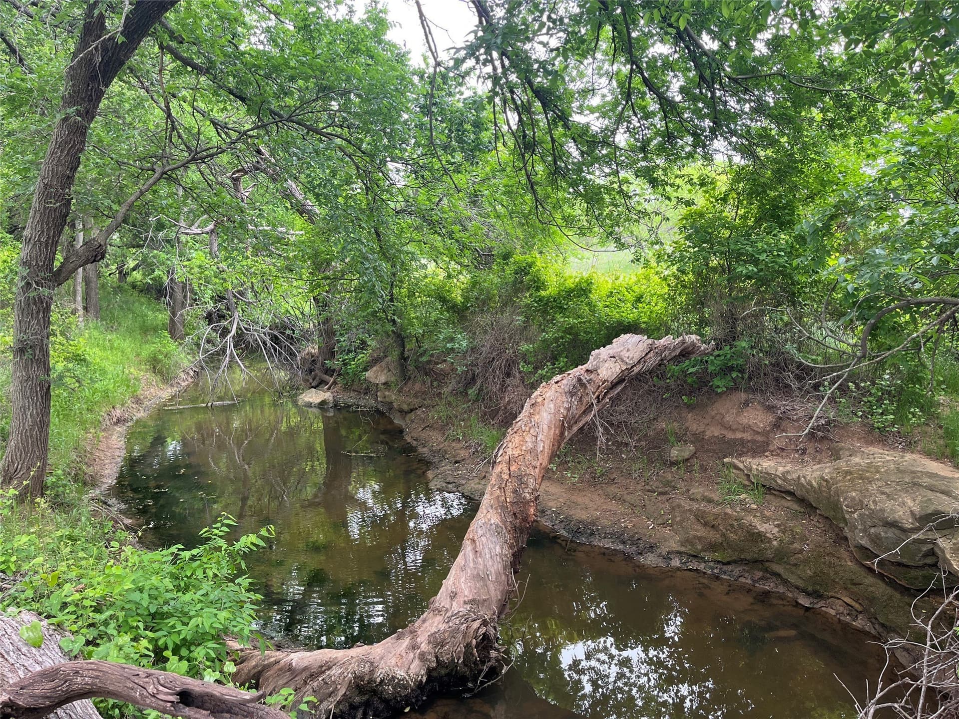 475.8 acres in Clay County - photo 29