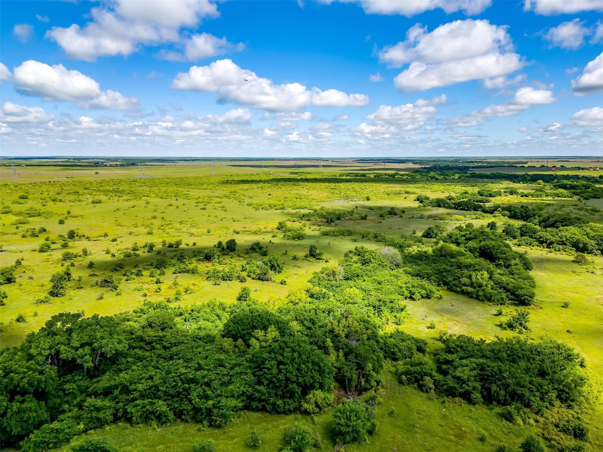 475.8 acres in Clay County - photo 16