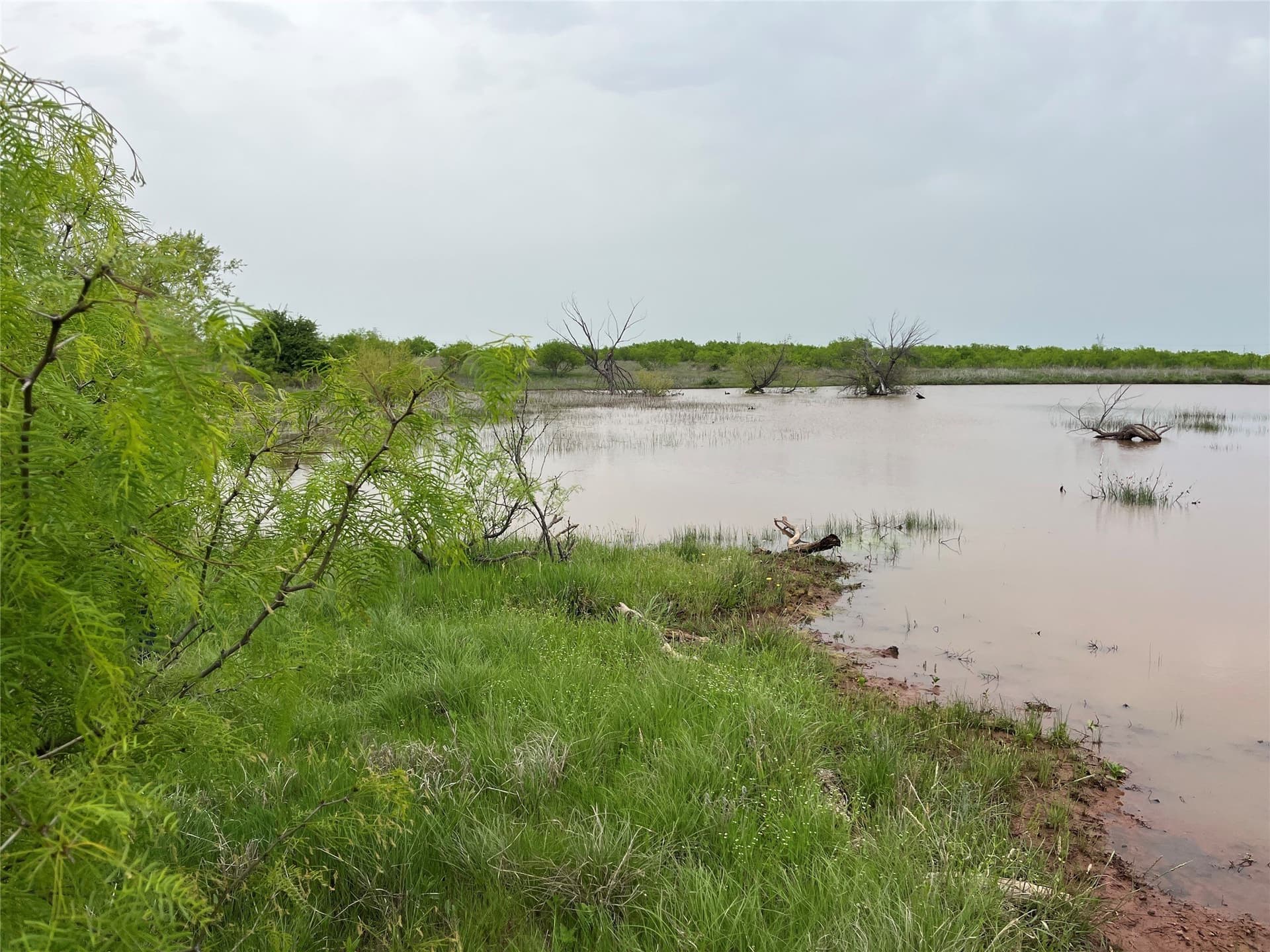 475.8 acres in Clay County - photo 32