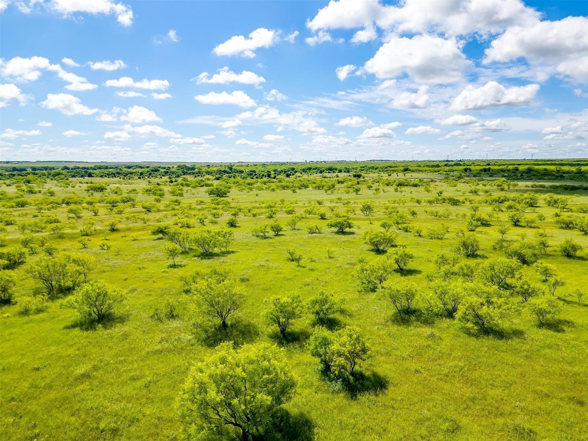 475.8 acres in Clay County - photo 7