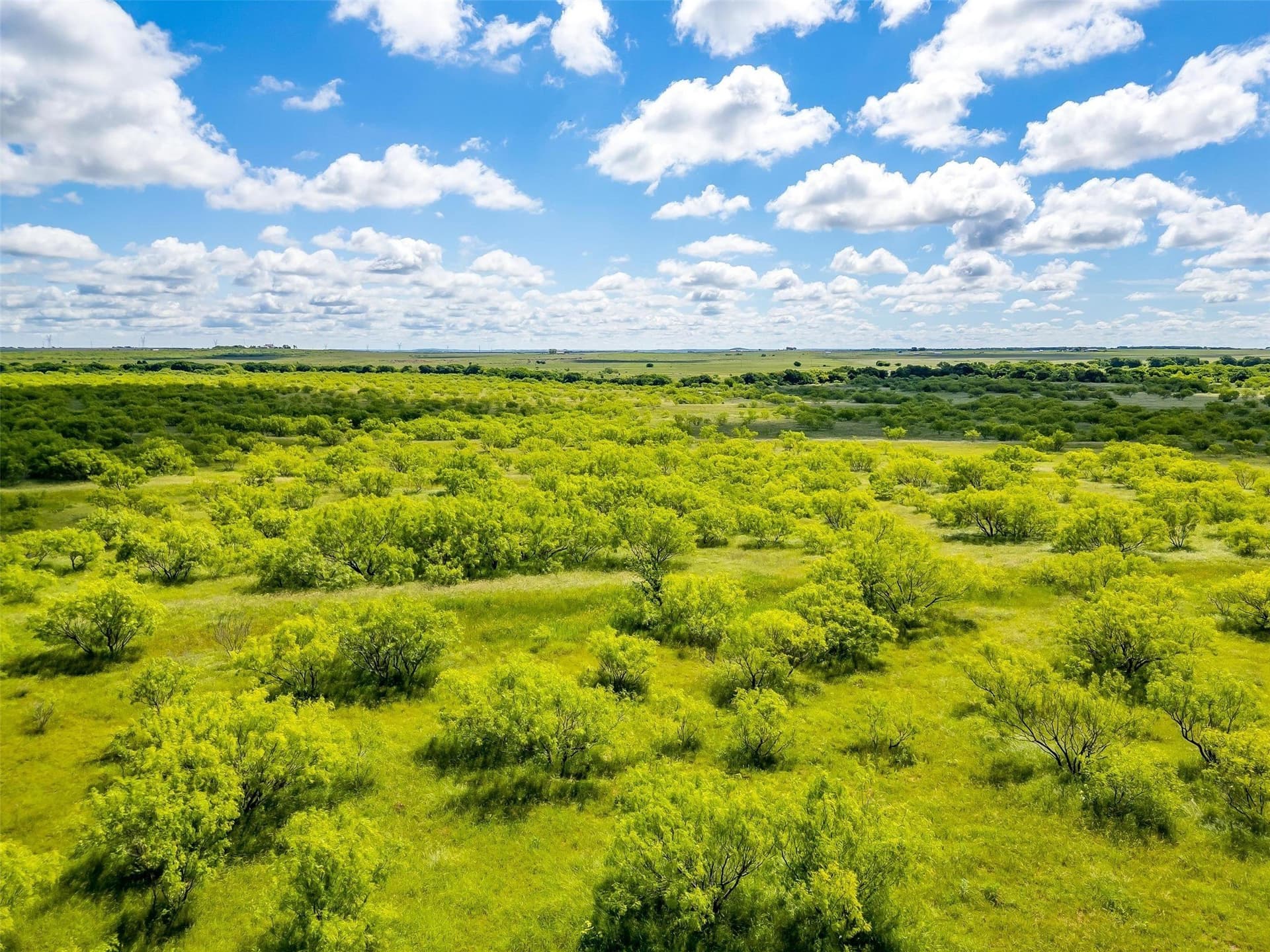 475.8 acres in Clay County - photo 19