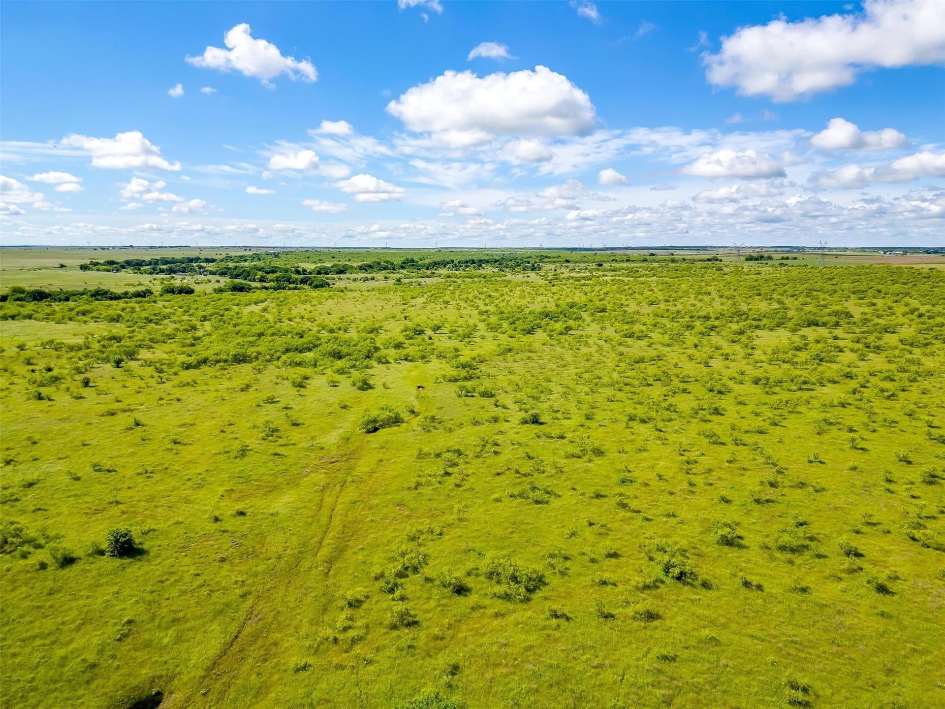 475.8 acres in Clay County - photo 6
