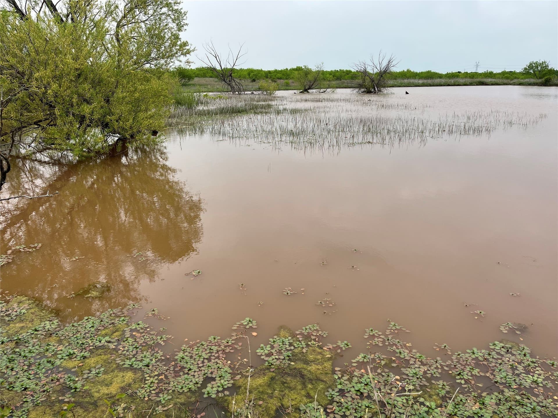 475.8 acres in Clay County - photo 33