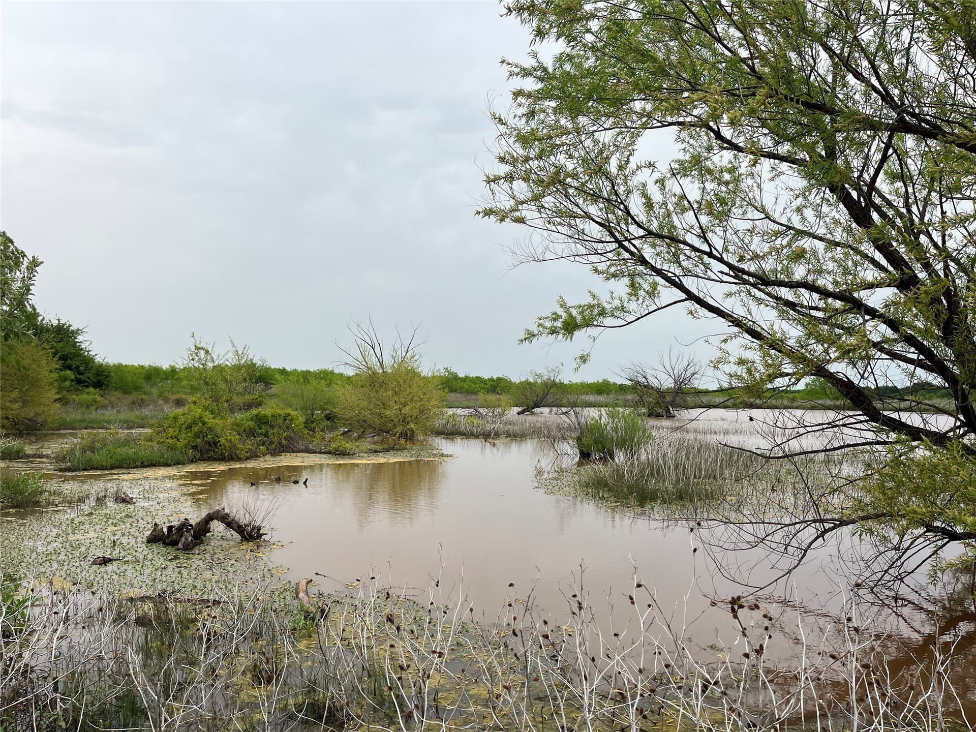 475.8 acres in Clay County - photo 31