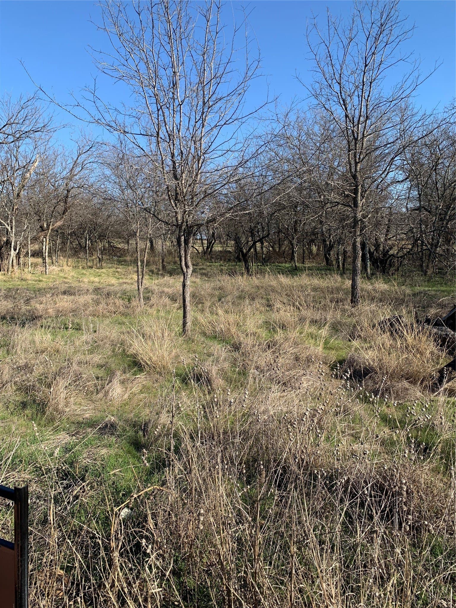 0.45 acres in Wise County gallery image 2
