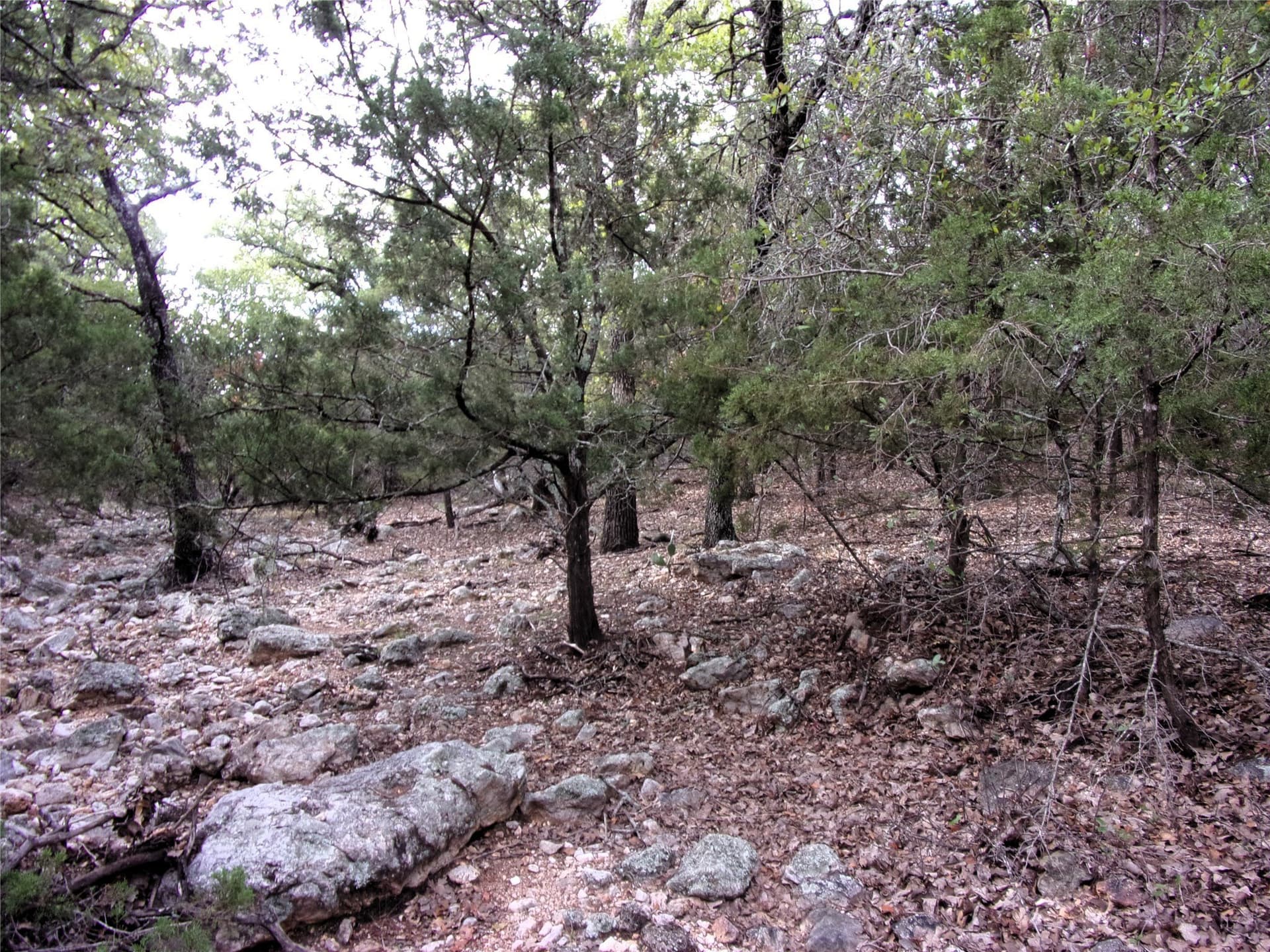 70 acres in San Saba County - photo 19