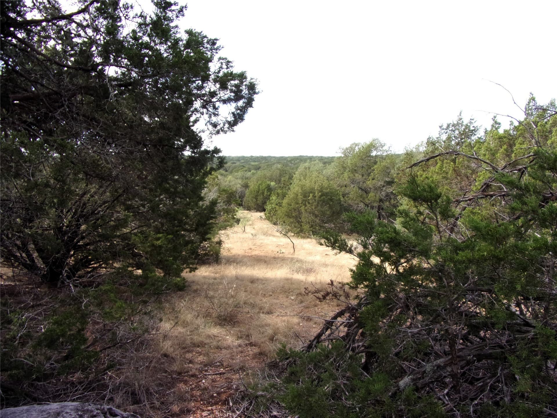 70 acres in San Saba County - photo 20