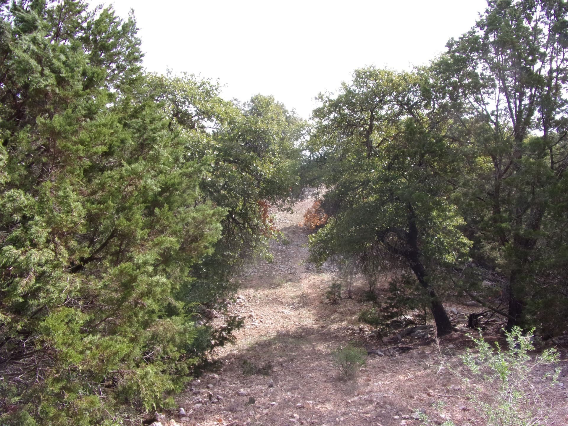 70 acres in San Saba County - photo 33