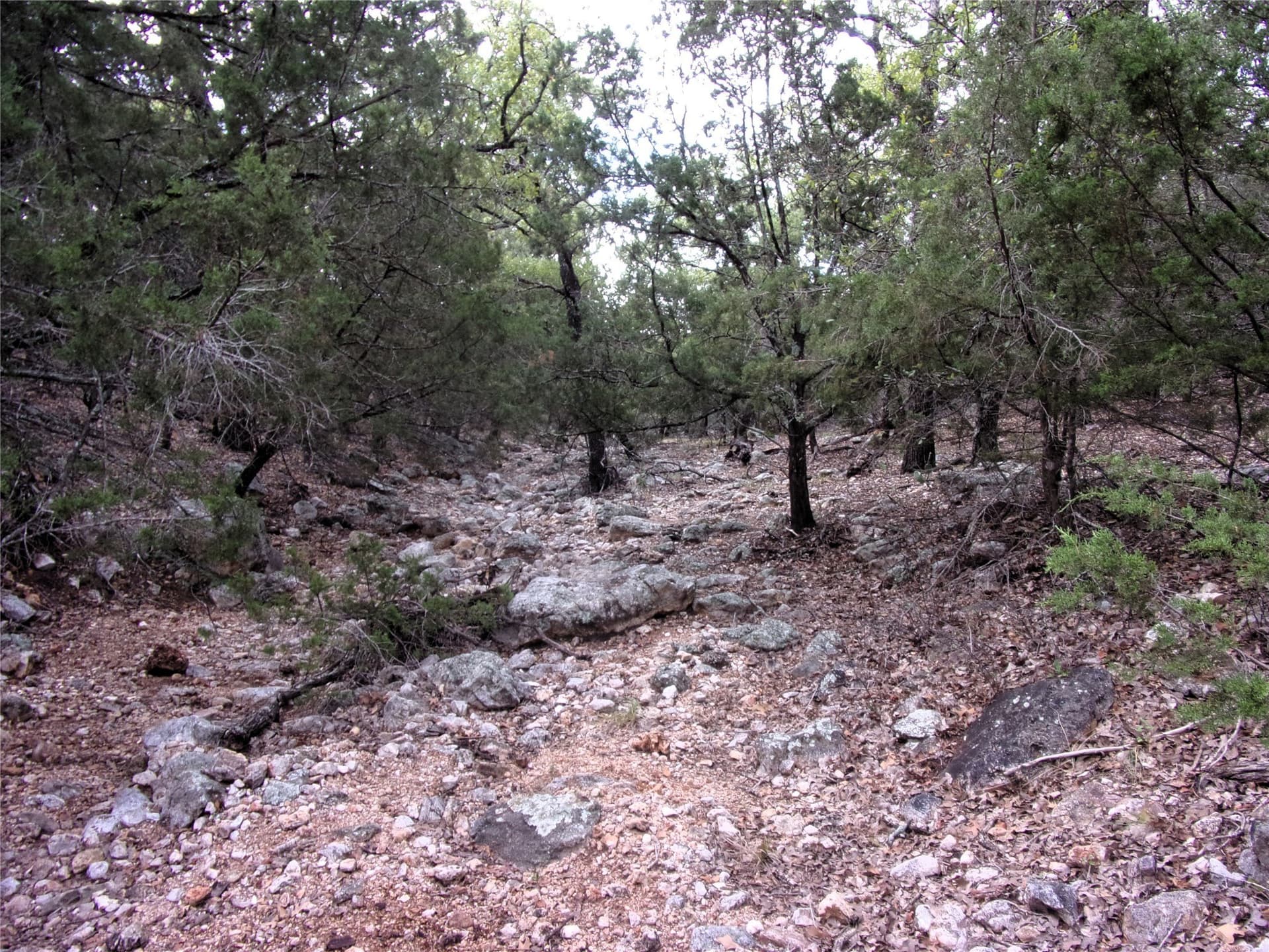 70 acres in San Saba County - photo 17