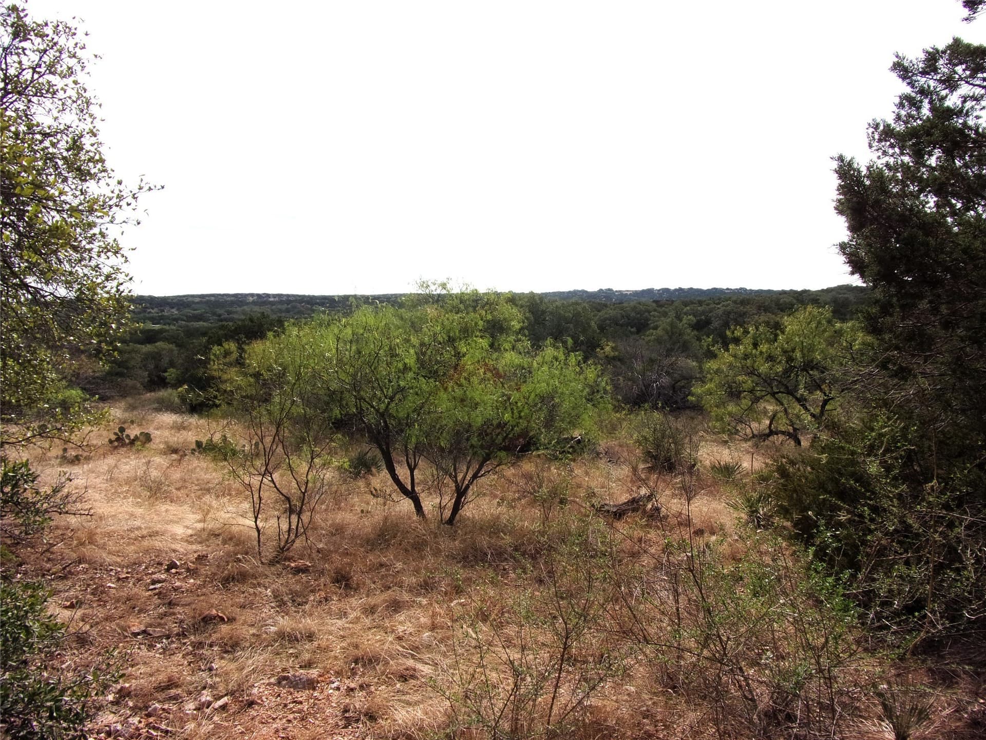 70 acres in San Saba County - photo 22