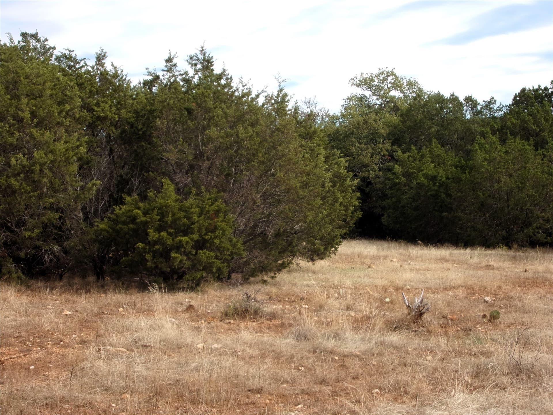 70 acres in San Saba County - photo 12