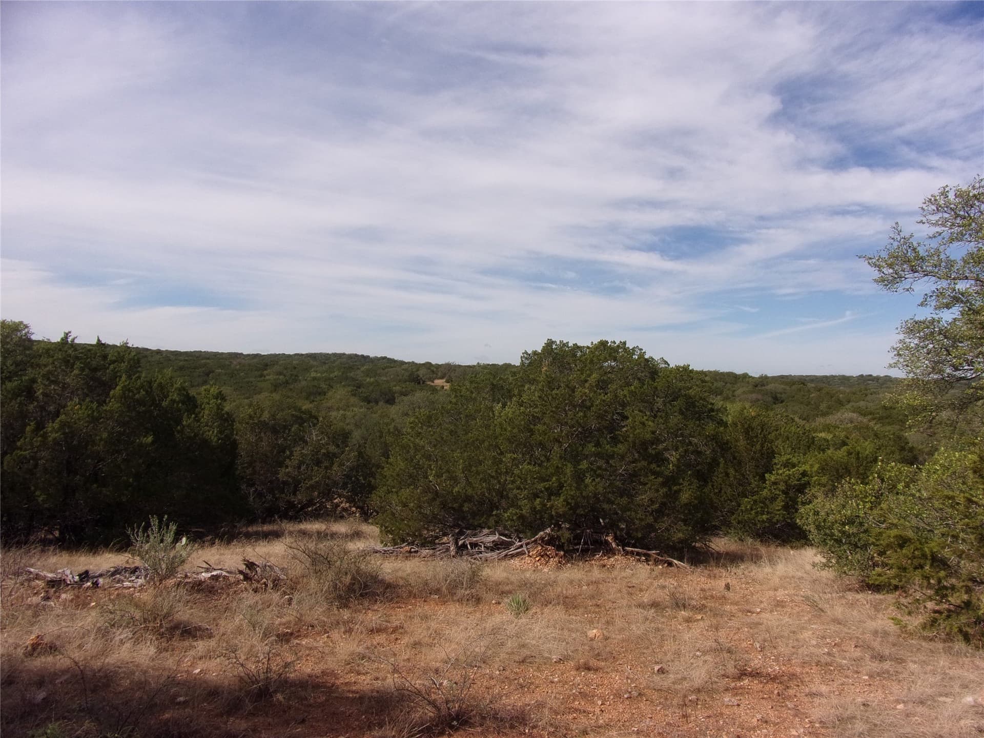 70 acres in San Saba County gallery image 4