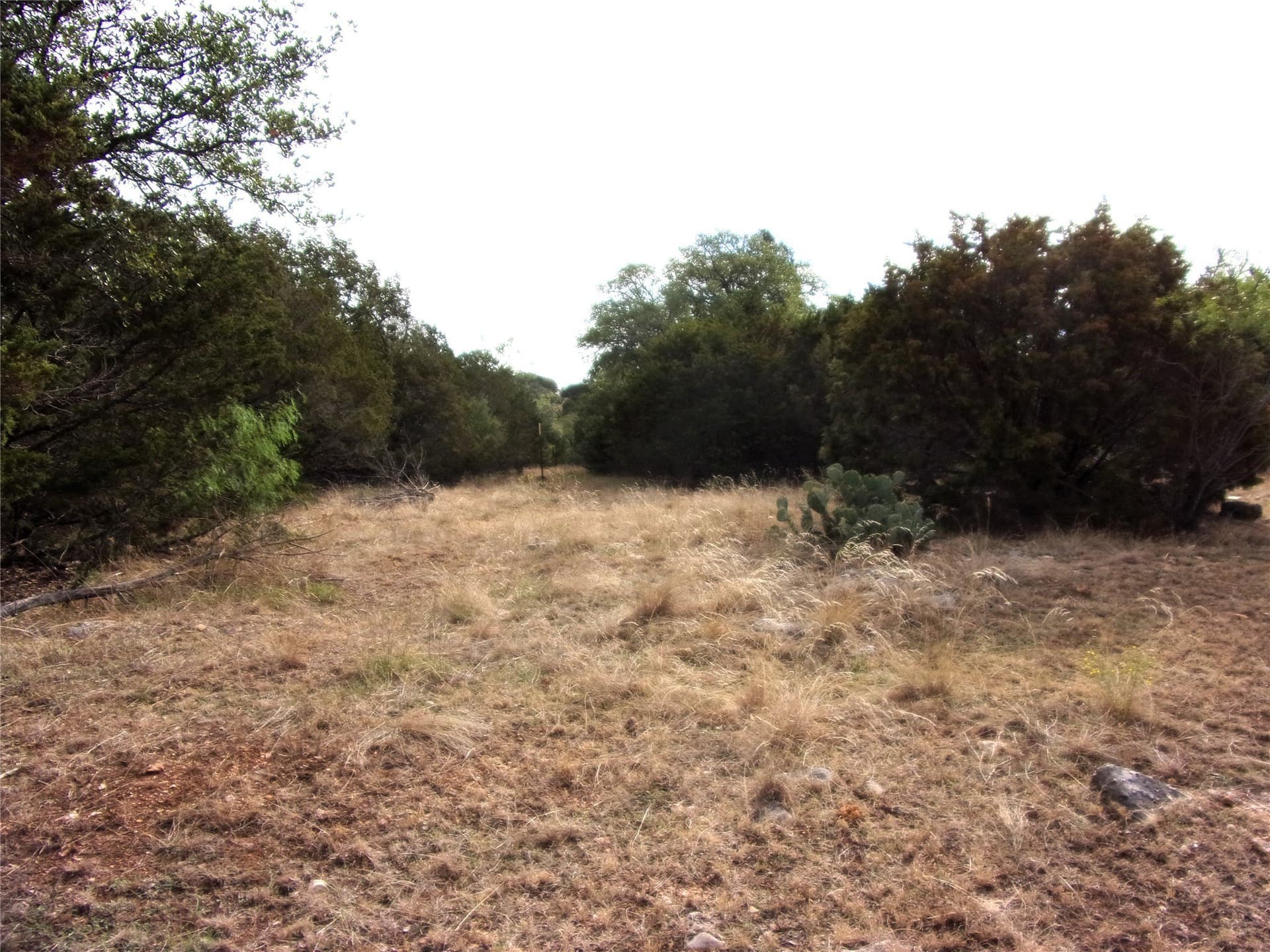 70 acres in San Saba County - photo 16