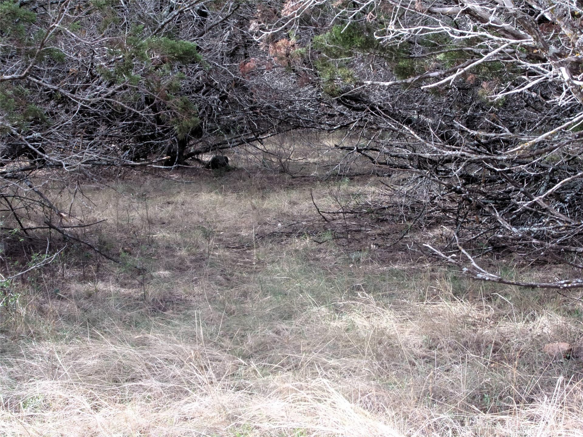 70 acres in San Saba County - photo 14