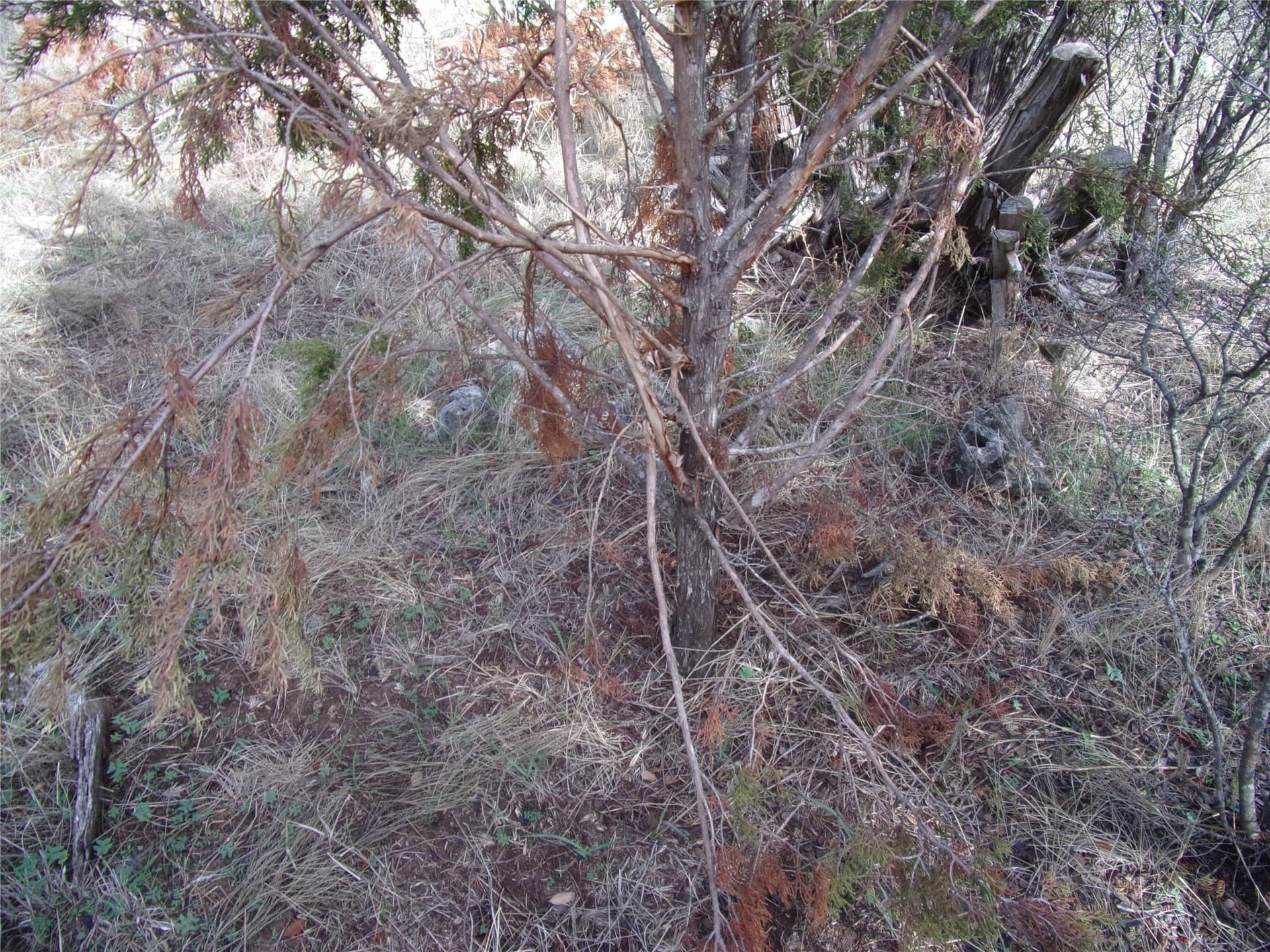 70 acres in San Saba County - photo 27