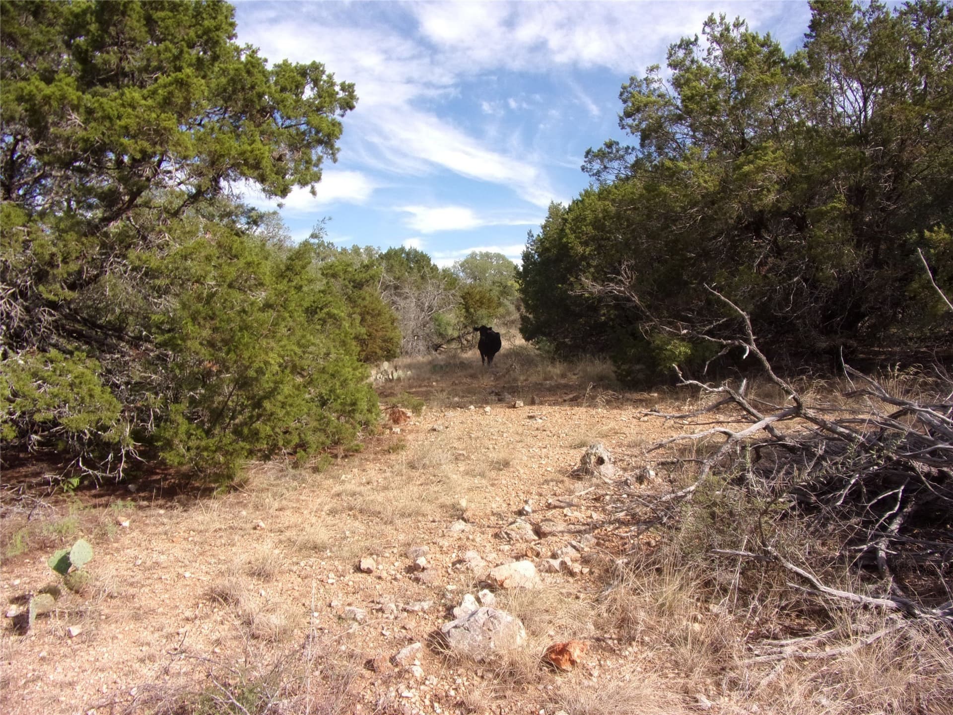 70 acres in San Saba County - photo 28