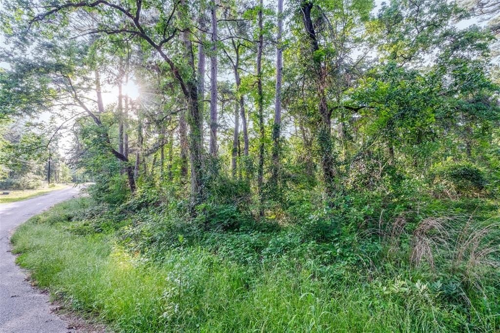 0.17 acres in Henderson County gallery image 4