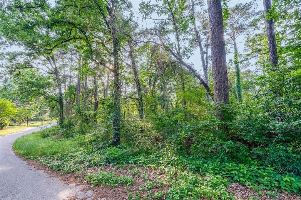 0.17 acres in Henderson County featured view