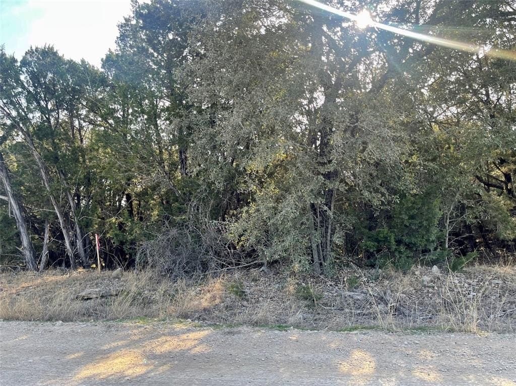 2.24 acres in Palo Pinto County gallery image 4