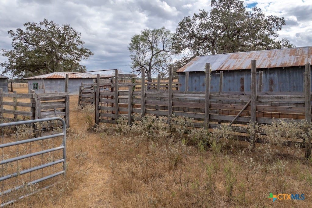 238.5 acres in Gonzales County gallery image 4