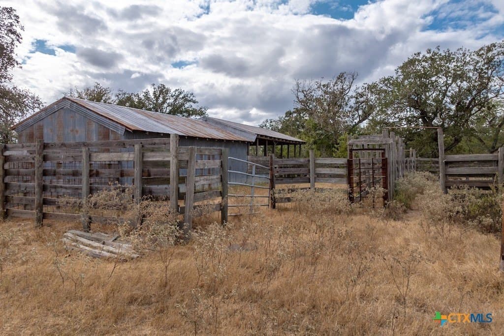 238.5 acres in Gonzales County gallery image 3