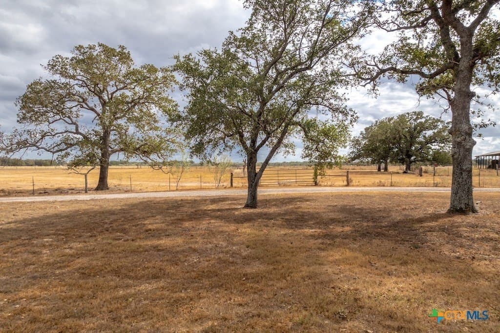 238.5 acres in Gonzales County gallery image 2