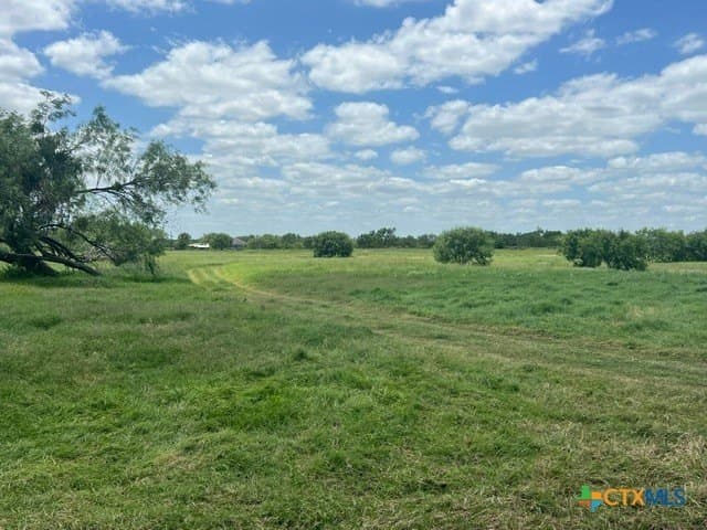 18.07 acres in Wilson County gallery image 4