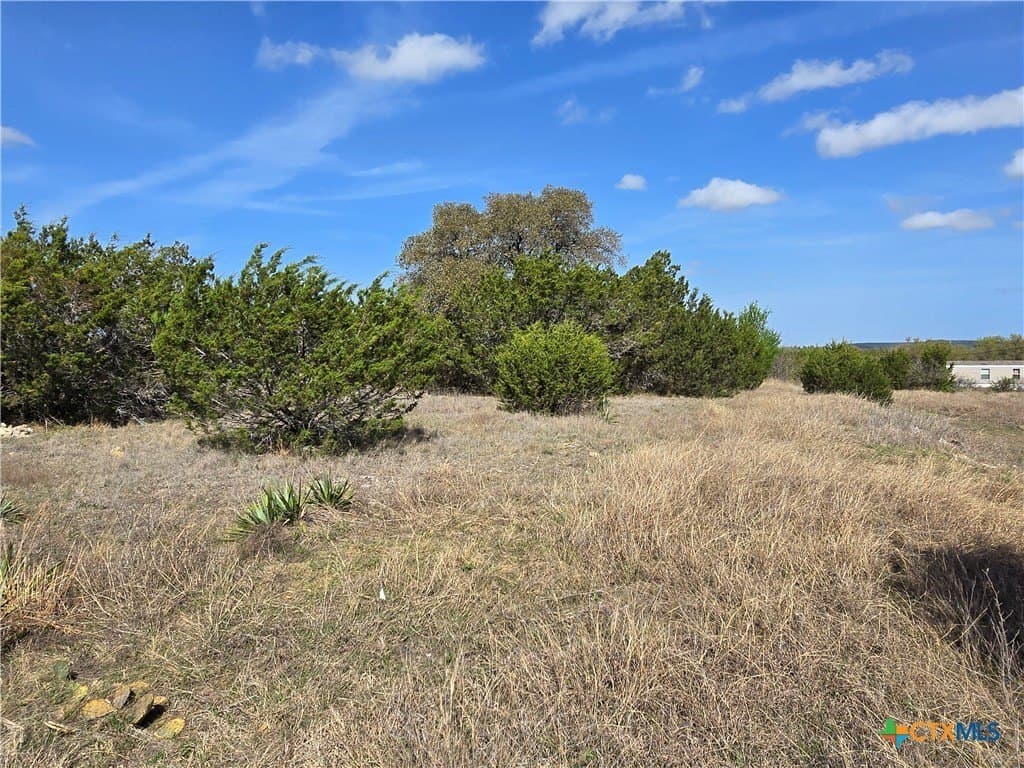 7.83 acres in Bell County gallery image 4