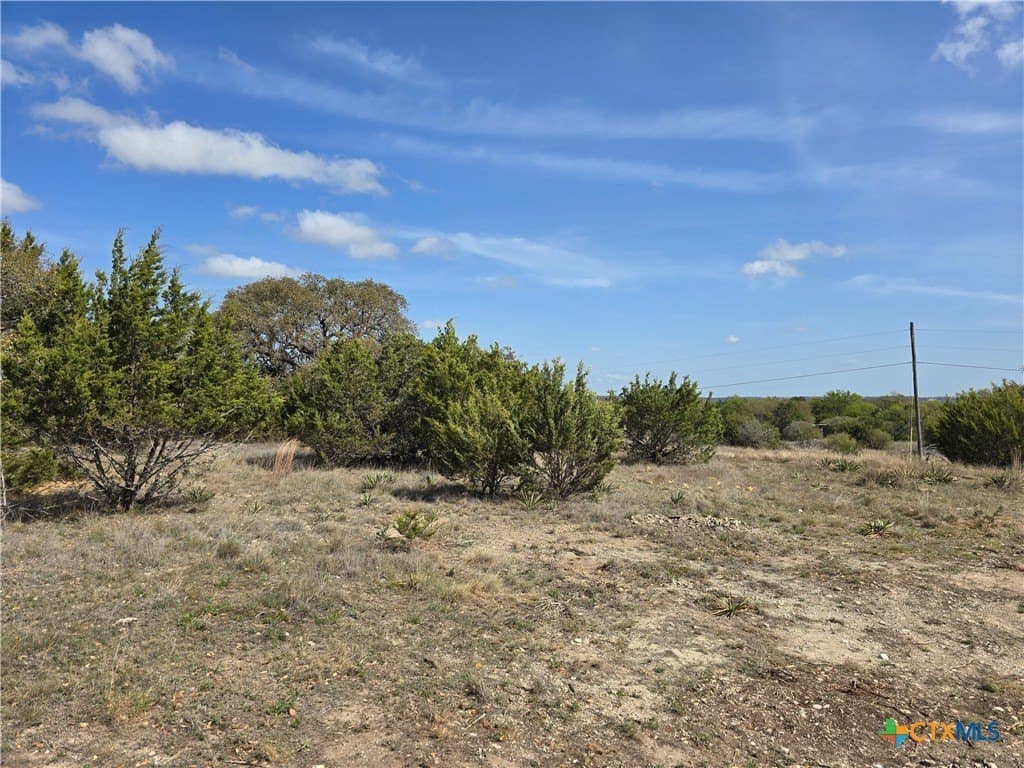 7.83 acres in Bell County gallery image 2