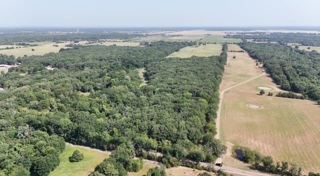 68.3 acres in Fannin County - photo 3